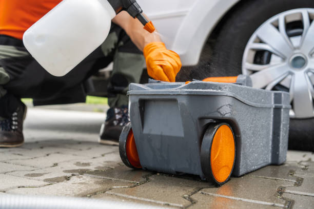 Best Arborist Consultation Services  in Willits, CA